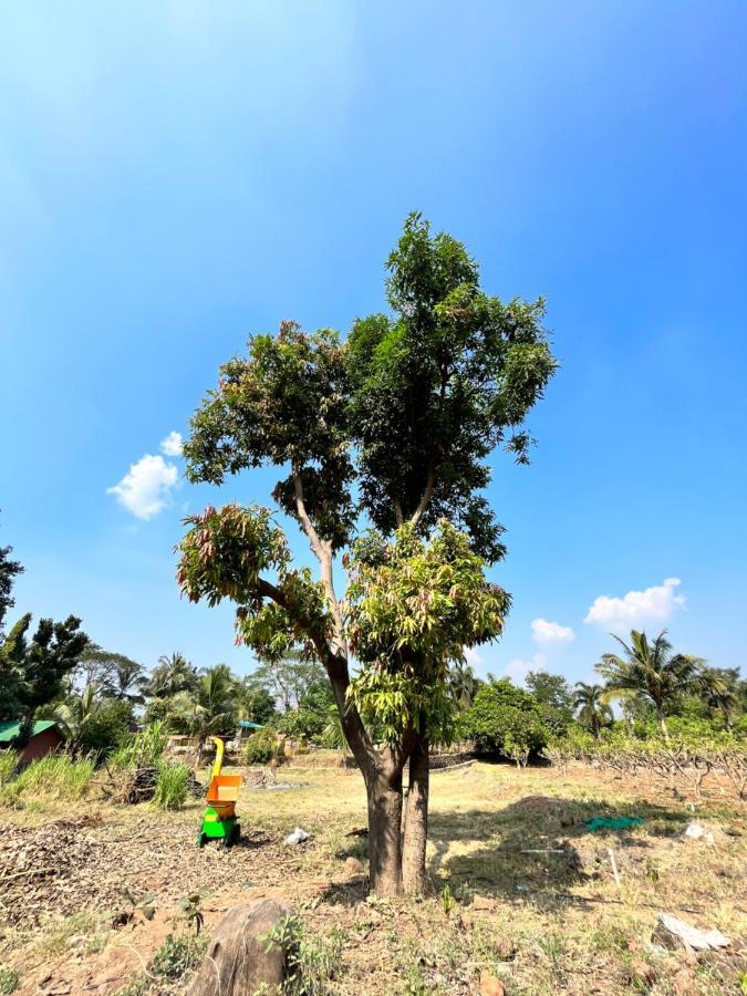 Vajapur The Riverstone Agro Farm מראה חיצוני תמונה