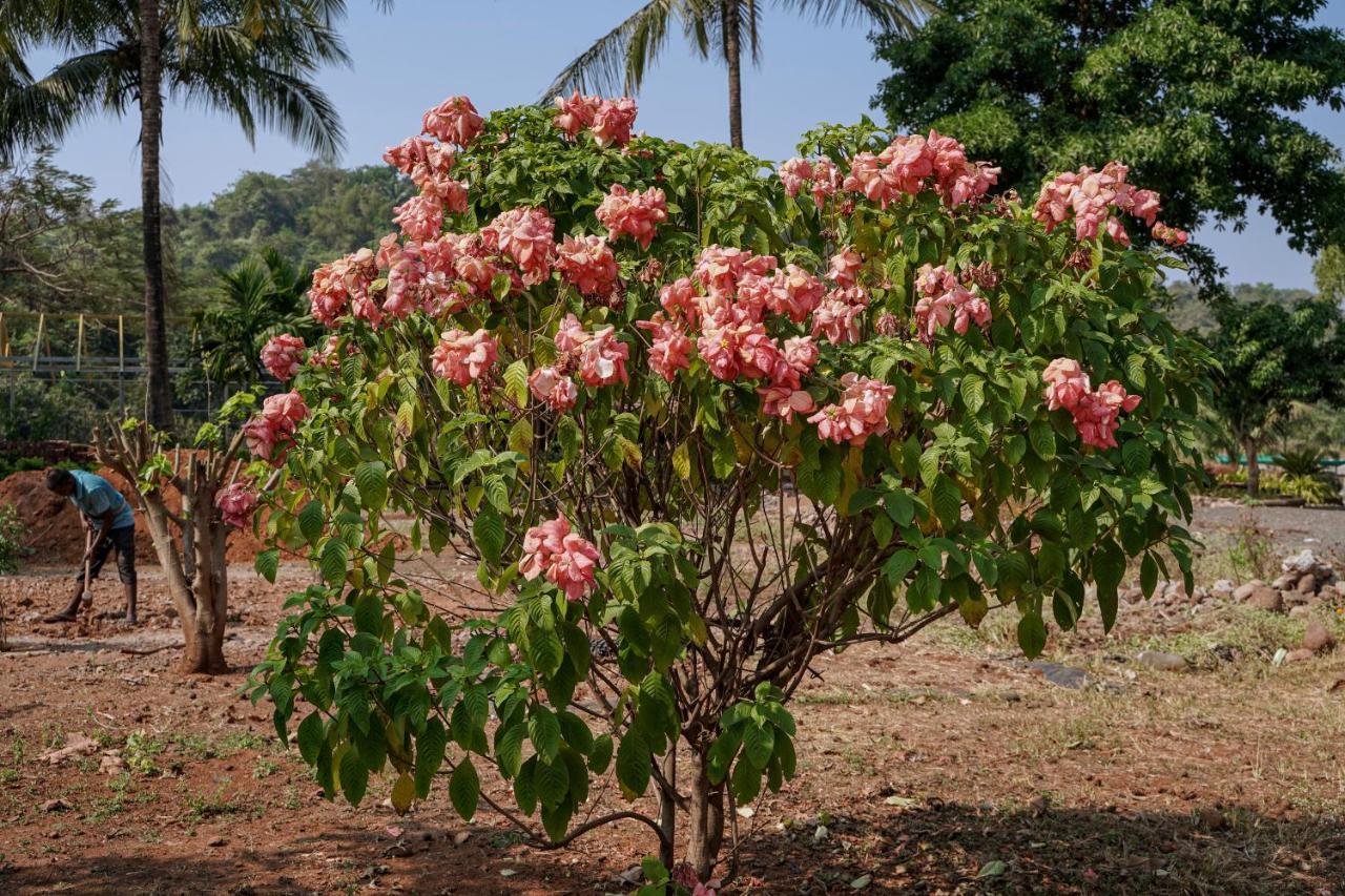 Vajapur The Riverstone Agro Farm מראה חיצוני תמונה